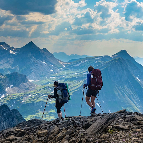 Осмотр, выемка, экспертиза – как подготовиться и защитить свой бизнес